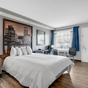 Executive , Portland USA